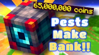 How To Make INSANE Money With Pests  Hypixel SkyBlock [upl. by Tnerual]