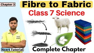 Fibre to Fabric  Class 7 science Chapter 3 Full Chapter [upl. by Drida]