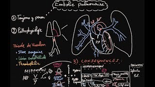 Embolie pulmonaire  Pathophysiologie  Partie 1  Docteur Synapse [upl. by Hannibal562]