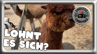 Ein tierisches Abenteuer im Filmtierpark Eschede [upl. by Chiang]