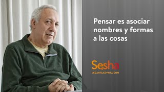 Pensar es asociar nombres y formas a las cosas [upl. by Esmerelda150]