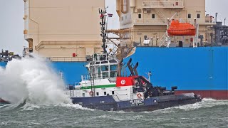 23 MINUTES OF MARINE TRAFFIC AT ROTTERDAM PORT NETHERLANDS 4K SHIPSPOTTING 2023 [upl. by Laurena234]