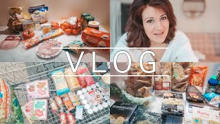 Rewe Aldi Lidl und dm HAUL  Talk Teure Lebensmittel amp Fleichkonsum  VLOG 458 [upl. by Nyllek]