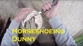 Horse shoeing Dunny [upl. by Einnil]