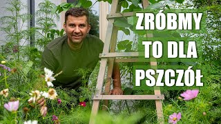 Pszczoły je uwielbiają Rośliny kwitnące dla pszczół Rośliny miododajne [upl. by Yert]