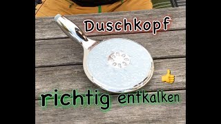 Duschkopf richtig entkalken GROHE Duschkopf [upl. by Issie732]