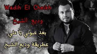 وديع الشيخ  Wadih El Cheikh  بعد عيوني يا علي عطريقتنا2024 [upl. by Arleen10]