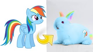 MLP Rainbow Dash as Rabbit [upl. by Ennayt73]