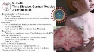 Measles and vaccines Exanthems and enanthems [upl. by Aniles197]