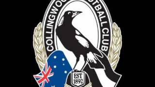 COLLINGWOOD THEME SONGTFU [upl. by Flodur]