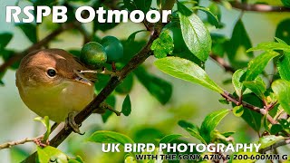 Bird Photography at RSPB Otmoor with the Sony A7IV amp Sony FE 200600mm F5663 G OSS [upl. by Velleman]