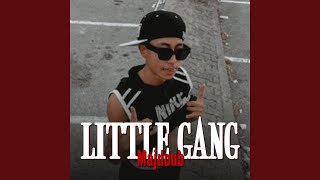 Little Gang [upl. by Sweatt]