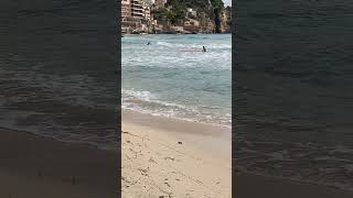 Las playas de Mallorca noviembre 2024 🇪🇸playamallorca short [upl. by Leban]