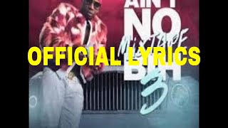 Plies  Rock Lyrics [upl. by Antonina]