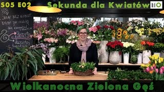 Sekunda dla Kwiatów  Wielkanoc cz 1  S05 E02 floristic diy Easter ideas [upl. by Airaet]