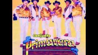 Conjunto Primavera EL Corrido De Luis Pulido [upl. by Yeltnerb]