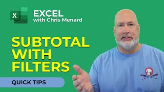 Excel  How to use the Subtotal Function with Filters [upl. by Germain261]