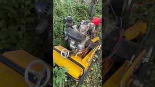 Weeding and grass cutting machineviralvideo grass tools decoration foryou [upl. by Aynek907]