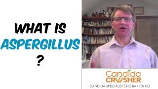 What Is Aspergillus [upl. by Yendirb]