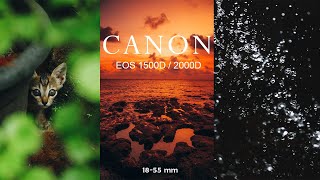 Canon EOS 1500D  2000D Sample Images With 18  55 mm Kit Lens [upl. by Skelton]