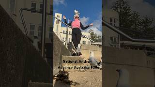 Advance Australia Fair nationalanthem australiannationalanthem seagull freestyledancing [upl. by Kantor]