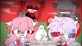 Fantasizeanimation meme  Collab with maggiechan0709 [upl. by Siffre]