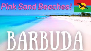 Barbuda Top Attractions amp Best Things To Do 2024 Travel Guide [upl. by Namyw323]