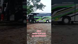 For sale bus medium bus pariwisata [upl. by Bullard]