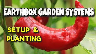 🌱PLANTING AN EARTHBOX 🌶️ SETTING UP AND PLANTING THE AMAZING EARTH BOX GARDENING SYSTEM 🍅 🌽 🌾 [upl. by Nnylsaj]