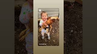 Taking my new pet home🏡 funny parenthoodmoments funnybaby funnyclips cute [upl. by Corron]