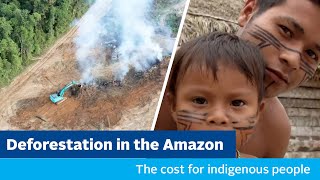 Deforestation in the Amazon the cost for indigenous people [upl. by Purdy]