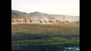 Norman Luboff Choir  Night Herding Songavi [upl. by Dianthe]