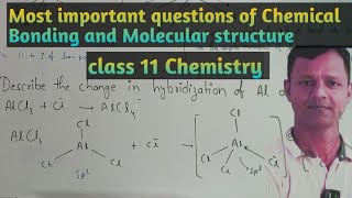 Most important question of Chemical Bonding and Molecular Structure  class 11 chemistry chemistry [upl. by Muiram959]