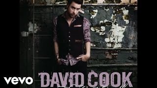 David Cook  The Last Goodbye Audio [upl. by Gatian635]