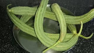 బీరకాయ వేపుడు  Beerakaya Vepudu in Telugu  Ridge gourd fry Recipe  beerakayakura [upl. by Ganley]