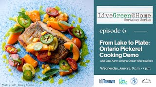 From Lake to Plate Ontario Pickerel Cooking Demo [upl. by Cadman933]