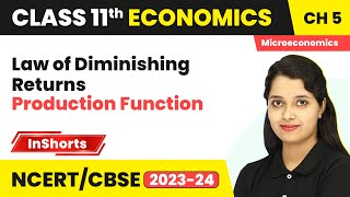 Law of Diminishing Returns  Class 11 Economics Chapter 5  Production Function [upl. by Wanyen]