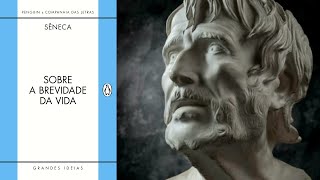 AUDIOBOOK PORTUGUÊS  SOBRE A BREVIDADE DA VIDA  SÊNECA [upl. by Delahk764]