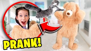 GIANT TEDDY BEAR PRANK ON OUR PETS The Empire Family [upl. by Eldreda808]