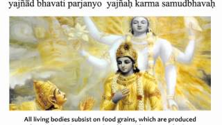 Bhagavad Gita Chapter 3  Verse 14 [upl. by Minabe]