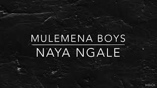 Mulemena boys naya ngale lyrics official video [upl. by Lenes122]