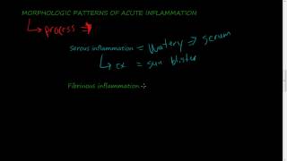 23  MORPHOLOGIC PATTERNS OF ACUTE INFLAMMATION  Serous Fibrinous Suppurative inflammation [upl. by Candide583]