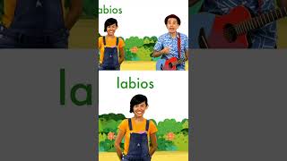 Conoce palabras por la letra L de León 🦁 123andres musicainfantil shortsvideo kidsvideo shorts [upl. by Sharai975]