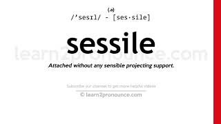 Pronunciation of Sessile  Definition of Sessile [upl. by Herwick]