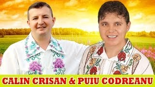 MUZICA POPULARA CU CALIN CRISAN SI PUIU CODREANU COLAJ NOU 2014 [upl. by Mahalia316]