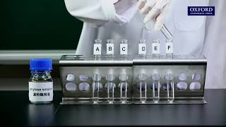 Practical 42 Investigation of the effect of temperature on enzyme activity [upl. by Onitsuj]