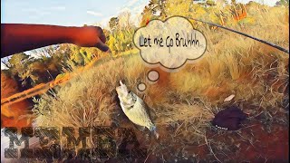 Fall Crappie Fishing [upl. by Erait]