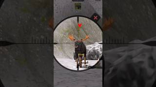 Animal Haunting 🎯 viralgame games animalhuntinggames [upl. by Liagibba]