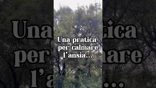 Una pratica per calmare l’ansia… [upl. by Latihs682]