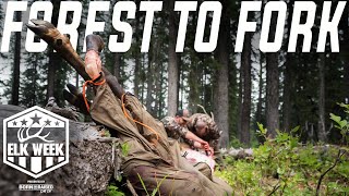 How to Butcher an Elk From Field to Table  Elk Week 2023 [upl. by Soalokin734]